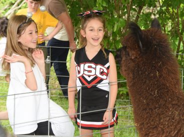 article image - 1. Llama_8709